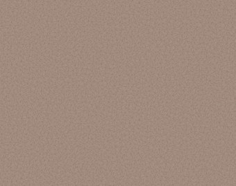[200111120_28] Taralay Initial Compact - 0957 Spider Cuivre